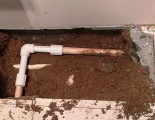 秦皇岛市测漏水哪家好