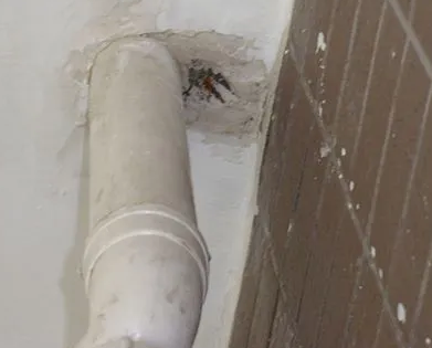 秦皇岛市漏水检测哪家好